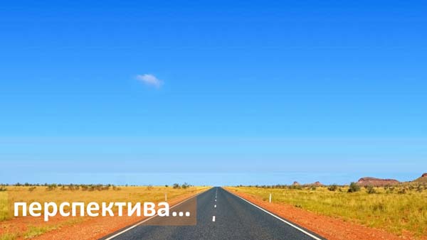 Структура вторичного рынка запчастей 2021 AGORA MIMS Automechanika.  Аналитика на novouralsk.win-sto.ru